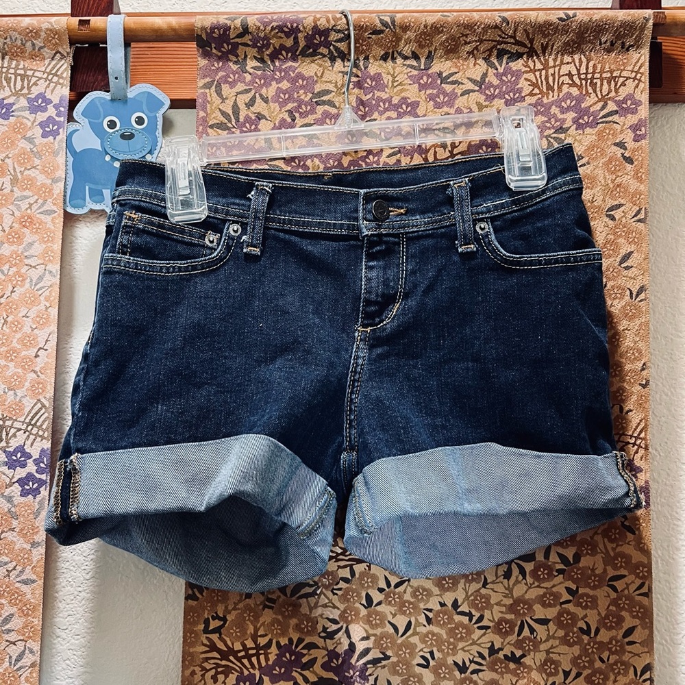 Patagonia Jean Shorts Women 26